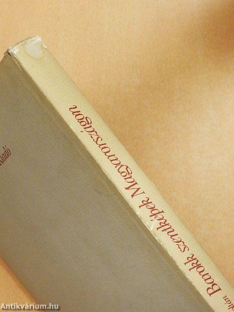 Barokk szentképek Magyarországon