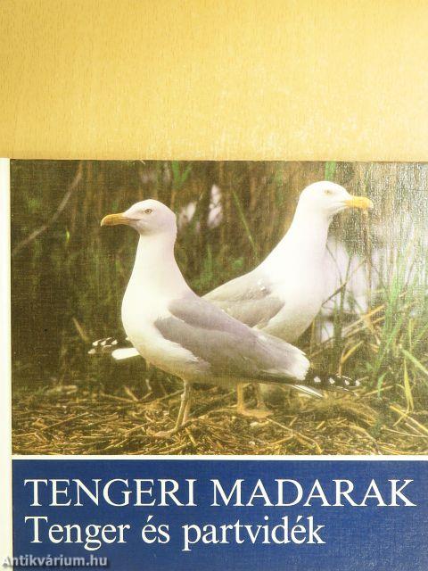 Tengeri madarak