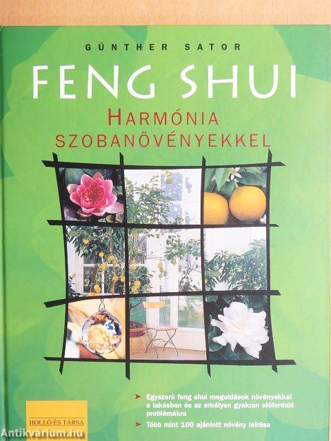 Feng shui - Harmónia szobanövényekkel