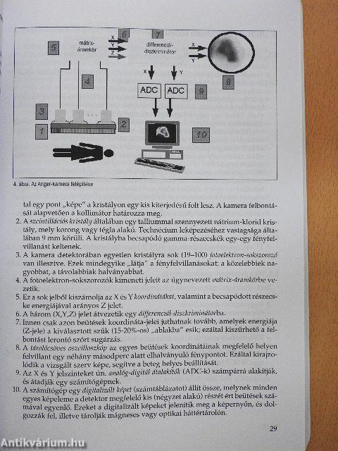 A nukleáris medicina tankönyve