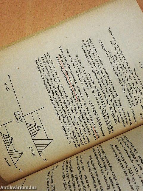 Companion to New Concept English II.