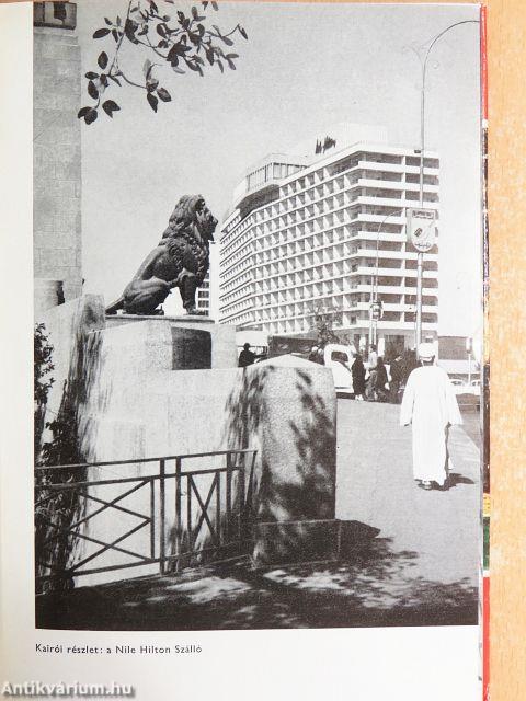 Egyiptomi verőfény