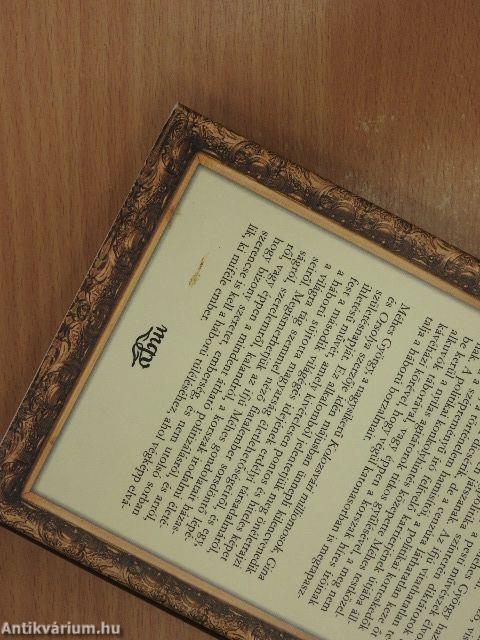 Bizalmas jelentés egy fiatalemberről