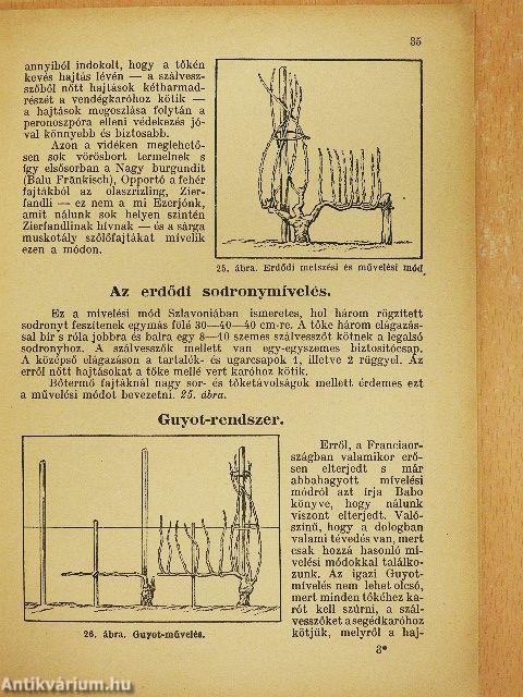 Szőlő metszése