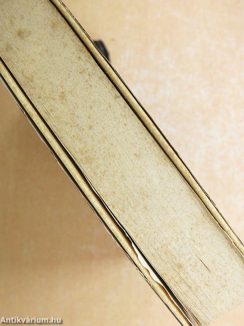 Freskó/A szemlélők