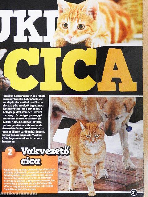 National Geographic Kids 2012. május