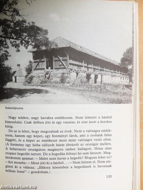 Zalamente, Somogyország