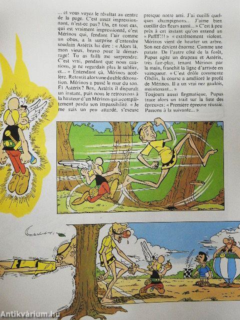 Les 12 Travaux d'Asterix