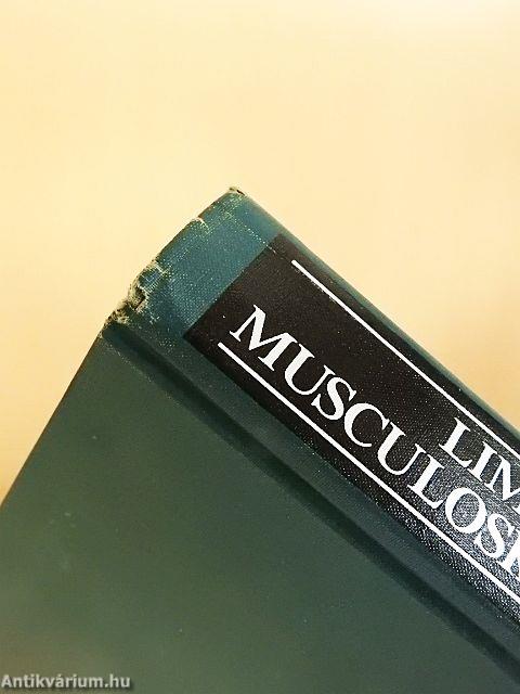 Limb Salvage in Musculoskeletal Oncology