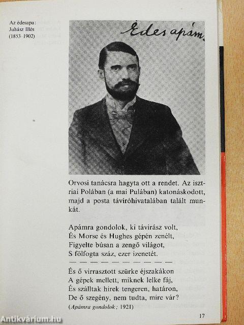 Így élt Juhász Gyula