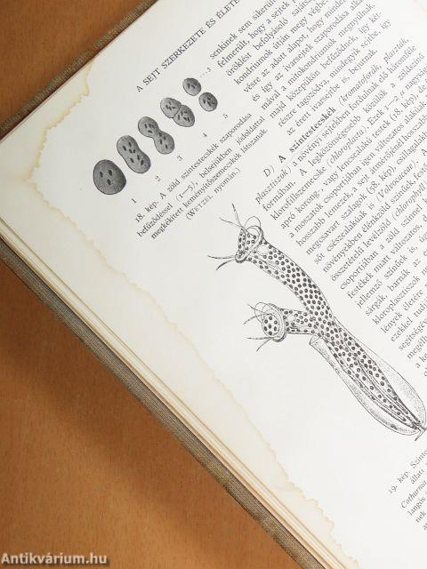 A növény és élete I. (töredék)