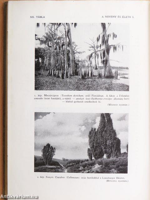 A növény és élete I. (töredék)