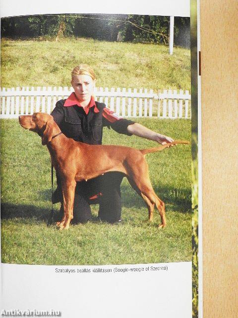 A magyar vizsla