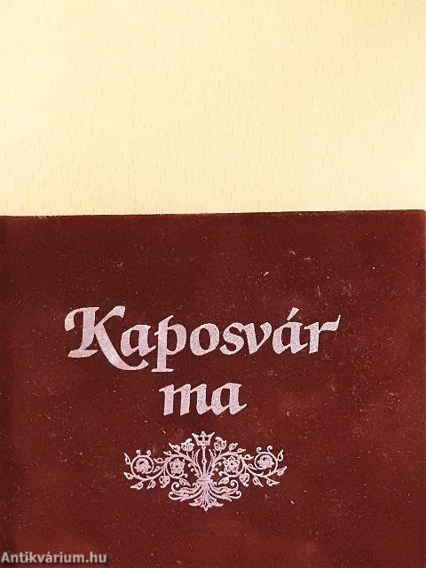 Kaposvár egykor/Kaposvár ma