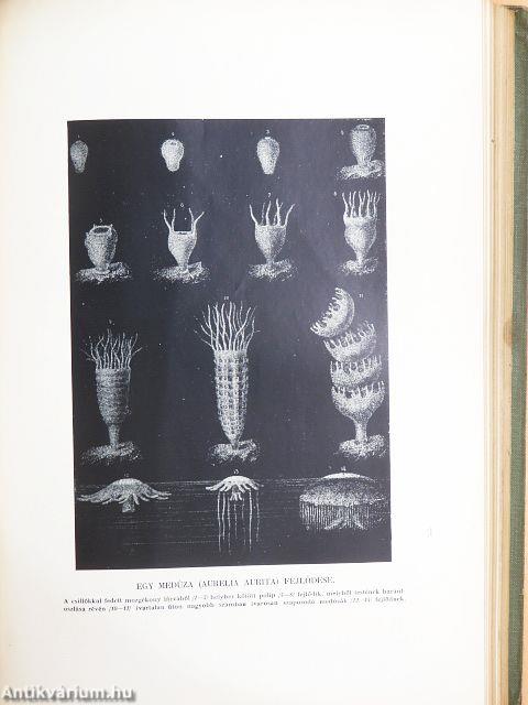 Az élők világa I-II.