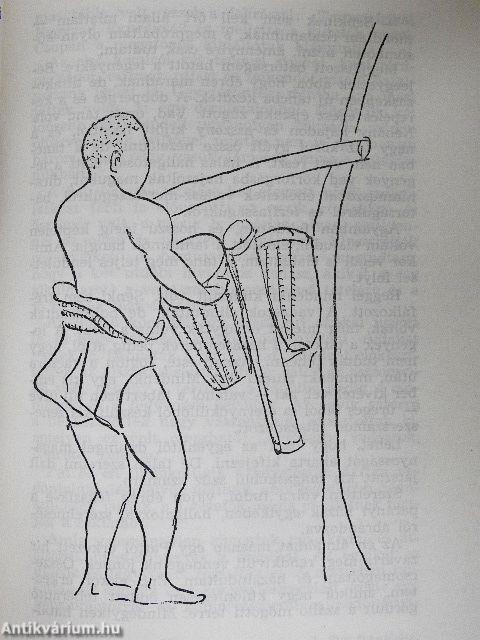 Nyolc év Kongó törpéi között