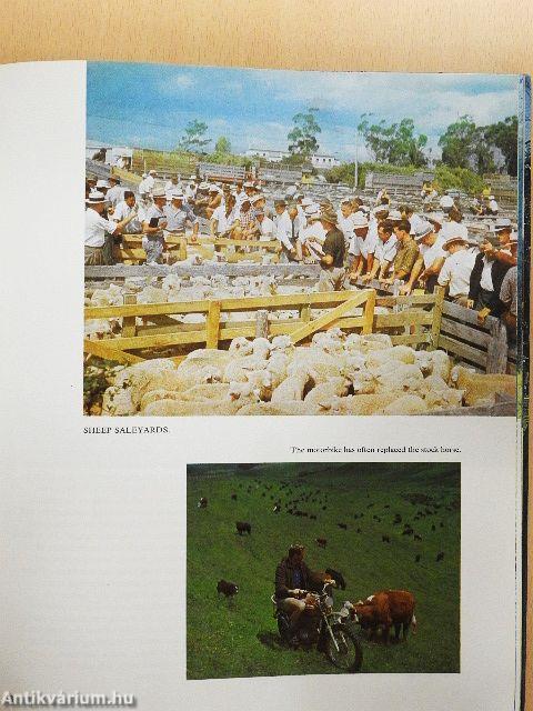 New Zealand and its people