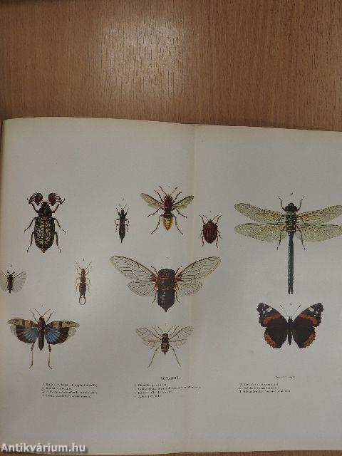 Az élők világa I-II.