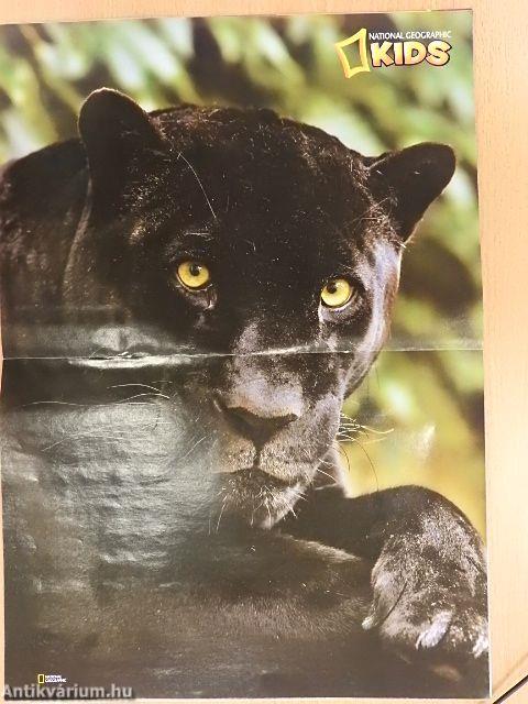 National Geographic Kids 2012. május