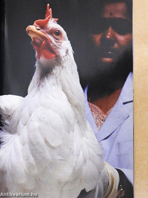 National Geographic Magyarország 2005. május