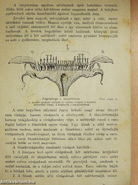 Természetrajz