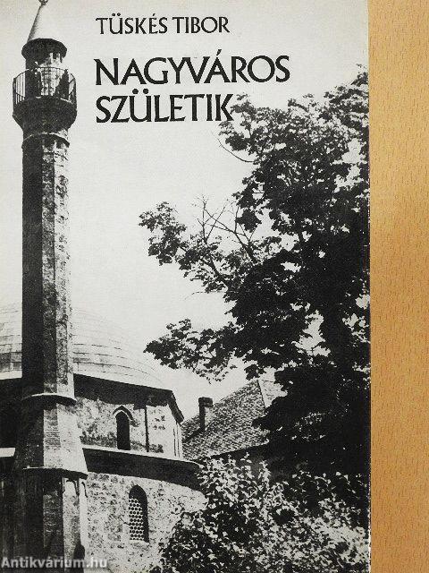 Nagyváros születik