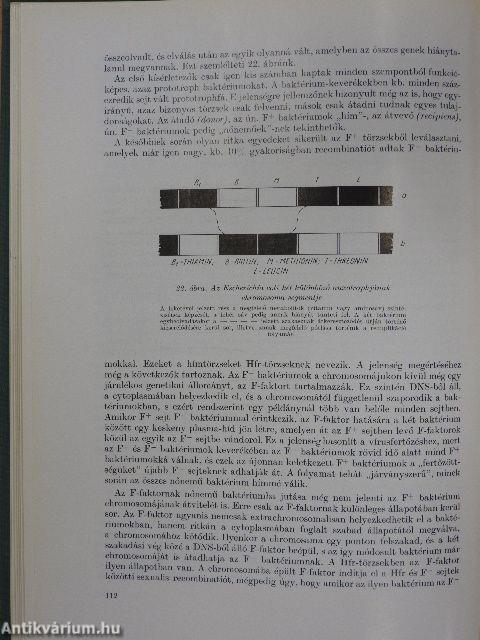 Orvosi mikrobiológia és immunitástan