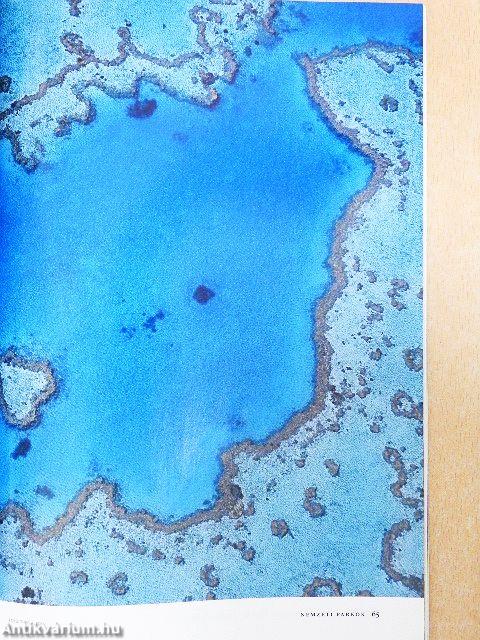 National Geographic Magyarország 2006. október