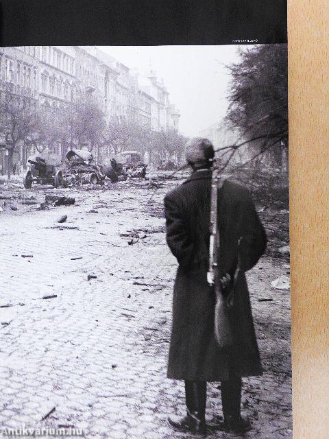 National Geographic Magyarország 2006. október