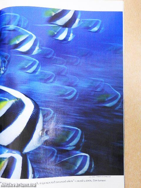 National Geographic Magyarország 2004. november