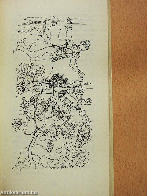 Naszreddin Hodzsa első szerelme