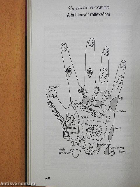 Népbetegségek megelőzése és szelíd gyógymódjai 1-3.