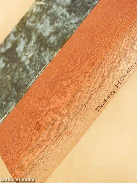 Hűvös csillagok alatt