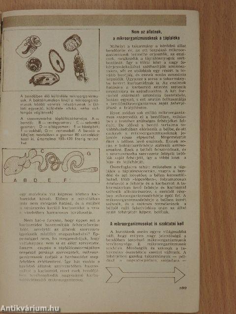 Élet és Tudomány 1966. május 13.