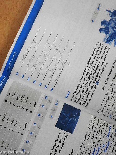Érettségi mintafeladatsorok angol nyelvből - CD-vel