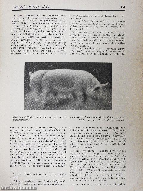 Mezőgazdaság 1939. március 15.