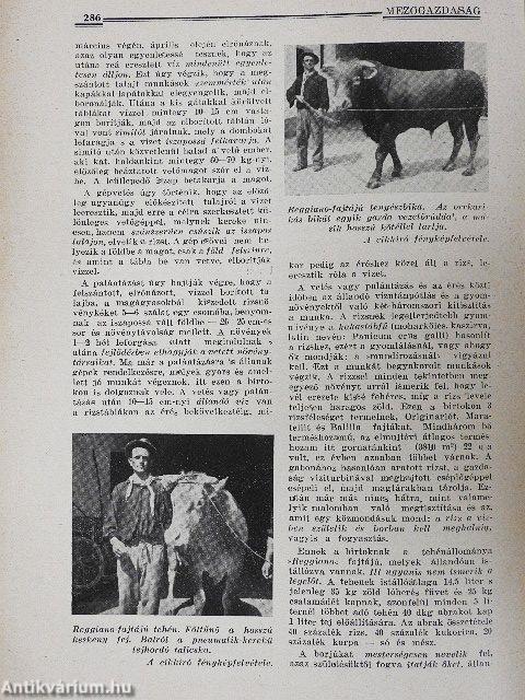 Mezőgazdaság 1938. december 15.