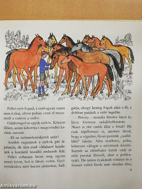 Sárga csikó, csengő rajta