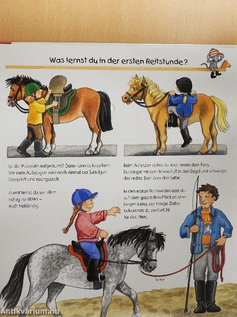 Alles über Pferde und Ponys