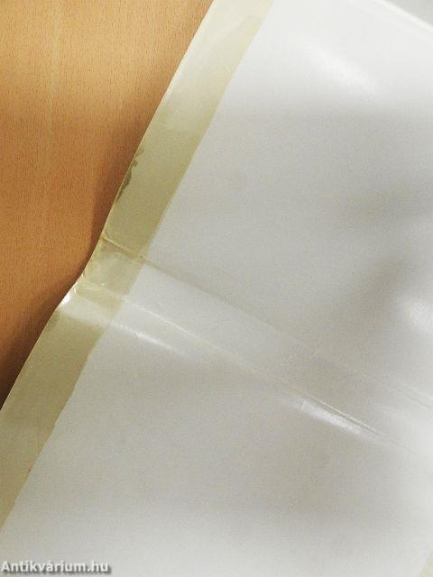 Le Monde du Douanier Rousseau