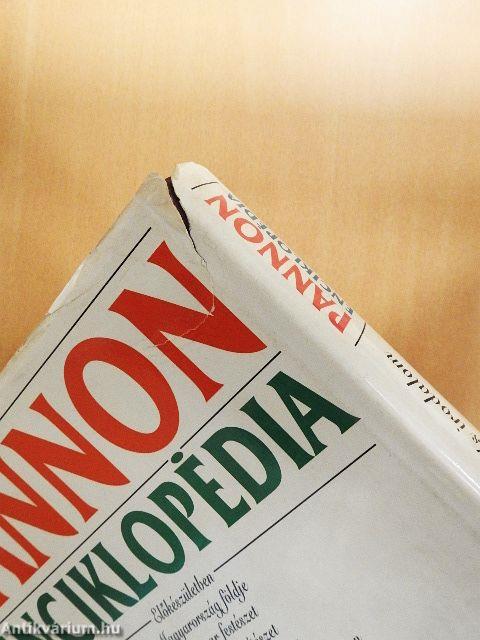 Pannon Enciklopédia - Magyar nyelv és irodalom