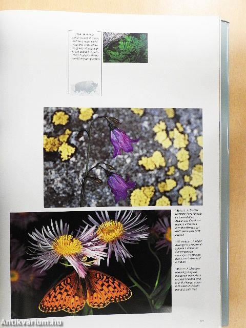 Észak-Amerika természeti csodái