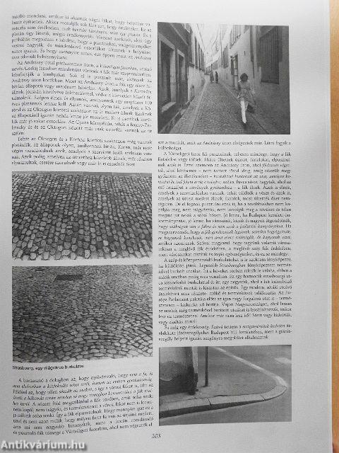 Új városvédőbeszédek