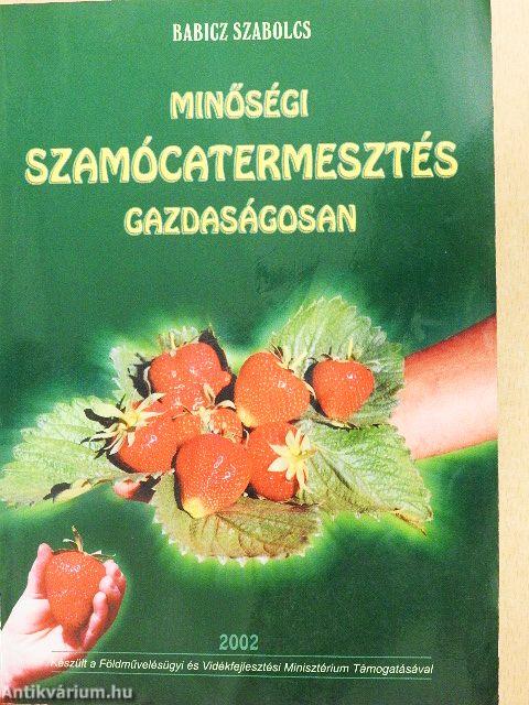 Minőségi szamócatermesztés gazdaságosan