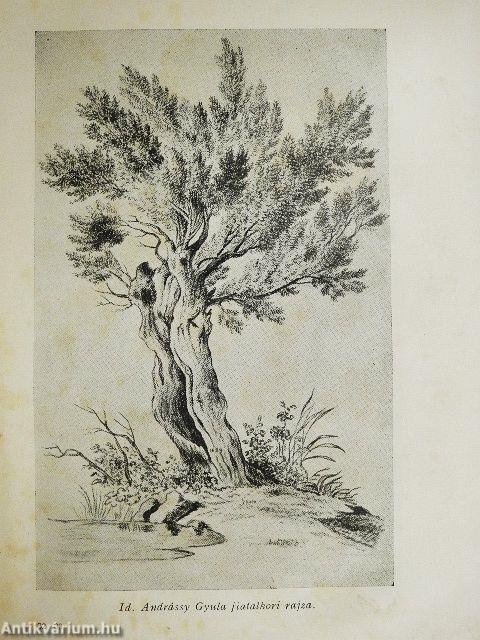 Két Andrássy és két Tisza