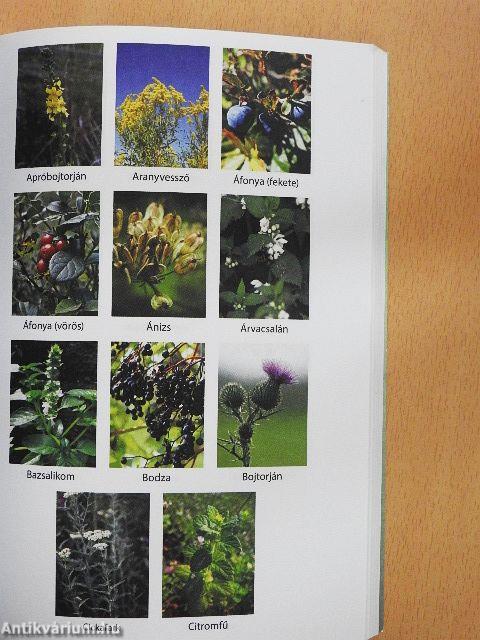 A világ megváltozik