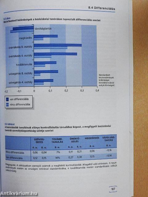 Egy sikeres iskolai integrációs program tapasztalatai