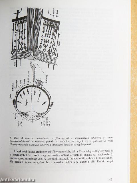 Általános pszichológia