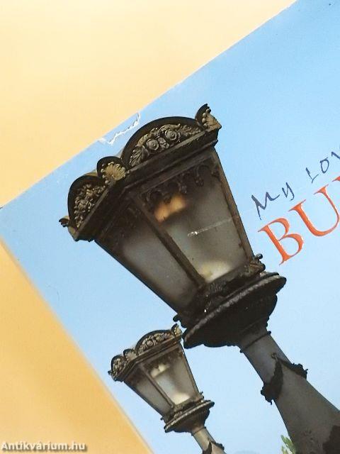 My Love, Budapest