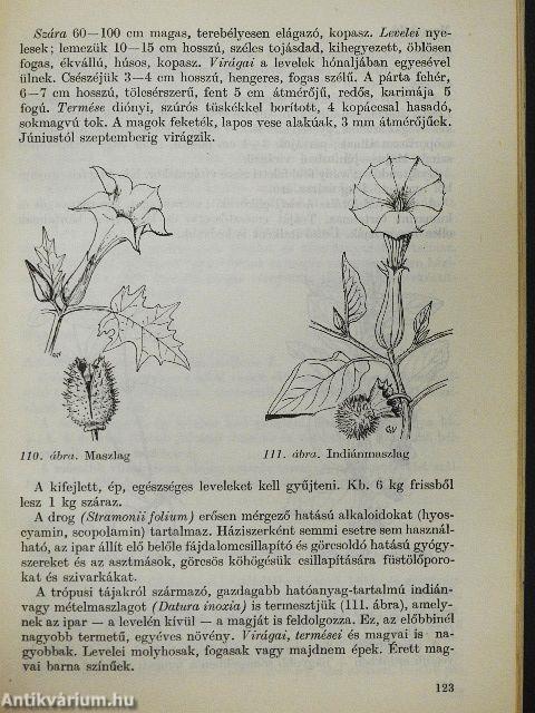 Gyógyító növények